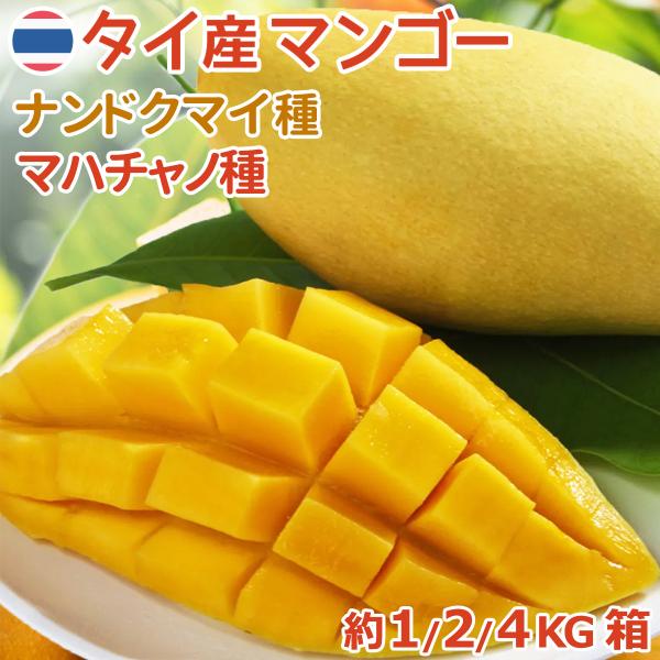 タイ産マンゴー 3〜4玉入 約1.1kg 箱 ナンドクマイ種 空輸 日本向け 有