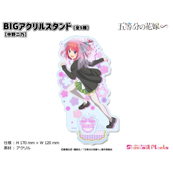 五等分の花嫁∽ BIGアクリルスタンド【中野二乃】 : しーぷらショップ