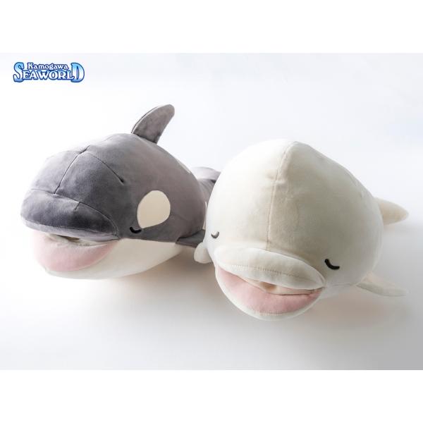seaworld-orcashop_a00-b0016