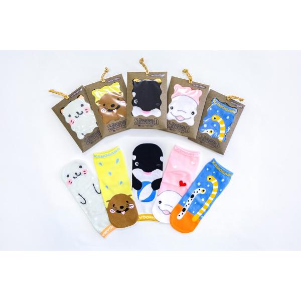 鴨川シーワールド パンフレット　中古 1990年代初期！鴨川シーワールド パンフレット 1冊 - メルカリ