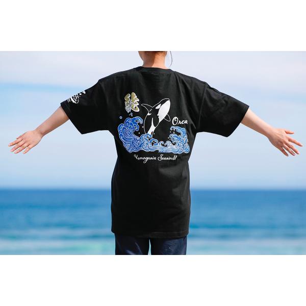 鴨川シーワールドオリジナル 55周年Tシャツ（大人） : 鴨川シー