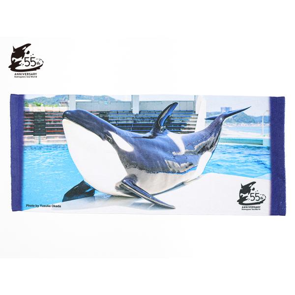 鴨川シーワールドオリジナル 55周年プリントフェイスタオル : 鴨川シー
