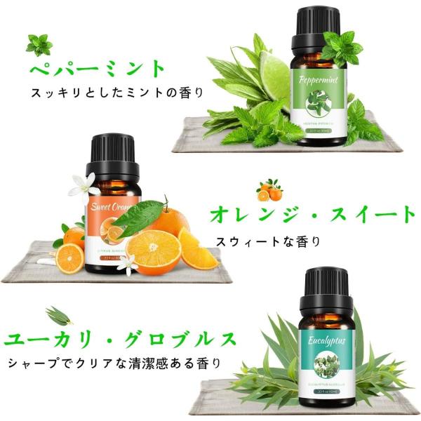 アロマオイル 精油 エッセンシャルオイル 6本セット ギフトセット 真正ラベンダー オレンジスイート レモングラス ミント ティートゥリー ユーカリ Ypt Or Id