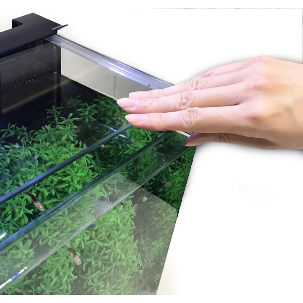 テトラ Tetra リビングキューブ オールインワン水槽 淡水 海水用 容量 約l Bulgaryo Co Il