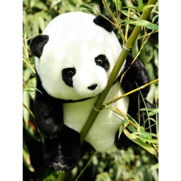 ぬいぐるみ パンダ かわいい 可愛い 子ども くま 動物