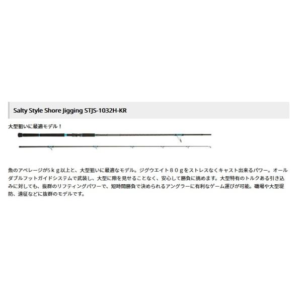 アブ ガルシア SALTY STYLE SHORE JIGGING STJS-1032H-KR (ロッド