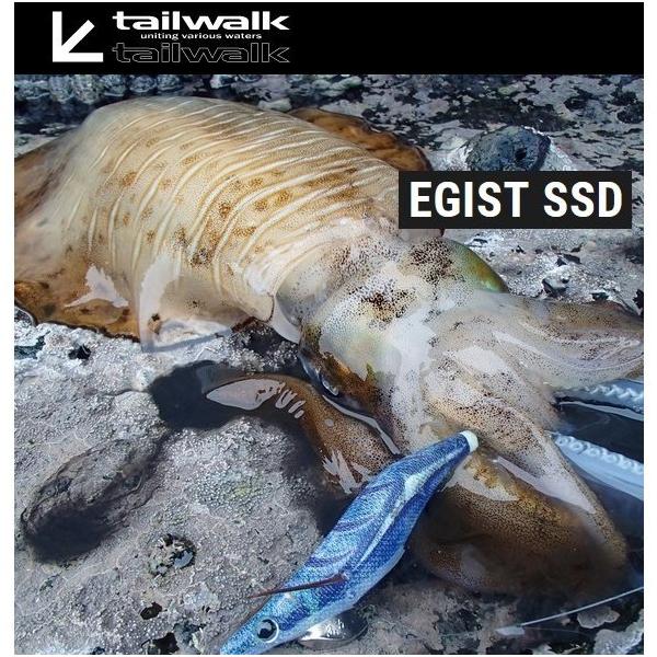 tailwalk（テイルウォーク） エギストSSD 86ML／SL : 釣具屋