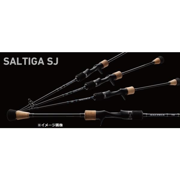 DAIWA（釣り） ダイワ ソルティガSJ61B−0 : 釣具屋