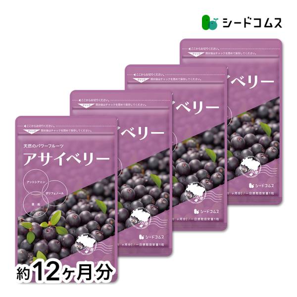 1粒重量485mg×360粒【約12ヶ月分】1粒あたりの主要原料・アサイベリーエキス末…100mg・亜鉛酵母…20mg・オリーブ油…80mg・グレープシードオイル…80mg