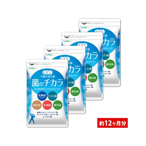 ＜1粒の主要成分＞乳酸菌末/16mg納豆菌培養エキス末/12.5mgビフィズス菌末/10mgビタミンB群含有酵母/10mgミネラル含有酵母/10mg発酵はちみつ/5mg