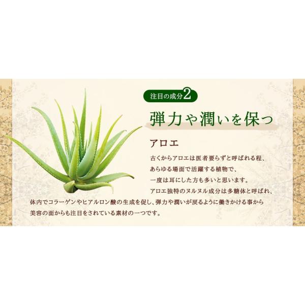 サプリ サプリメント どくだみ アロエ 約3ヵ月分 ダイエット Buyee Buyee Jasa Perwakilan Pembelian Barang Online Di Jepang