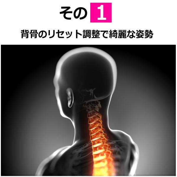 ストレッチ用ポール 98cm 背中体幹エクササイズ フォームローラー ヨガポール 筋膜リリース 筋膜ローラー ストレッチ ポール 骨盤矯正 Buyee 日本代购平台 产品购物网站大全 Buyee一站式代购 Bot Online