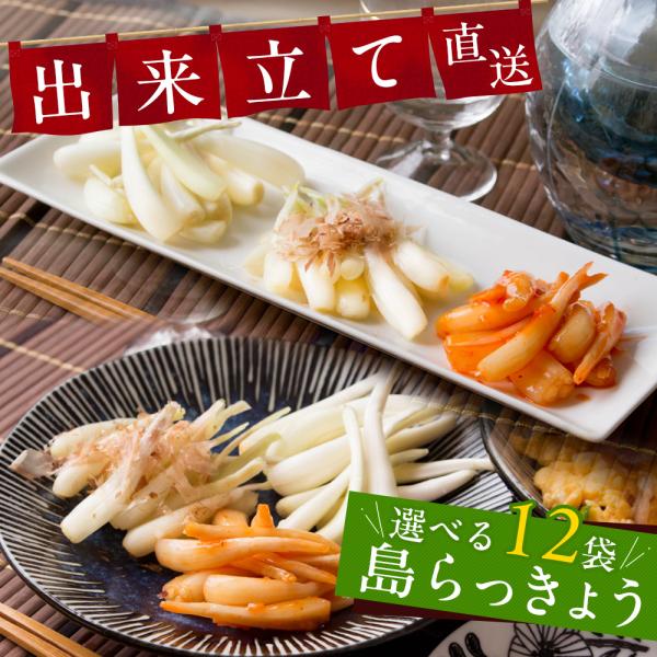 沖縄の澄んだ海風を受けて育った「島らっきょう」。独特のシャキッとした歯ごたえと、ほのかな辛味、豊かな香りはまさに沖縄を代表する味わいです。沖縄県内でも老舗の島らっきょう店から、一年を通して、作りたてシャキシャキの島らっきょうをお届けします。