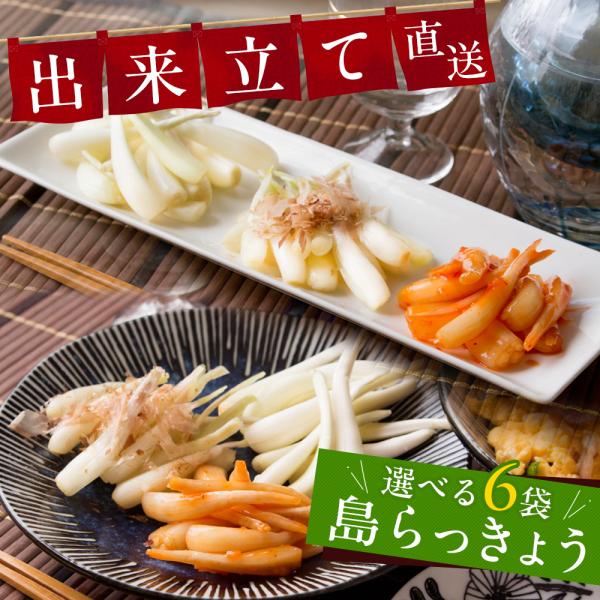 沖縄の澄んだ海風を受けて育った「島らっきょう」。独特のシャキッとした歯ごたえと、ほのかな辛味、豊かな香りはまさに沖縄を代表する味わいです。沖縄県内でも老舗の島らっきょう店から、一年を通して、作りたてシャキシャキの島らっきょうをお届けします。