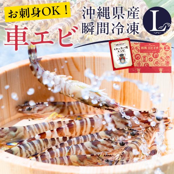 沖縄県南城市産 瞬間冷凍車エビ1kg（29〜40尾入） Lサイズ 生食可 板馬エビイチ 生産者直送 車海老 ギフト プレゼント 刺身 しゃぶしゃぶ 送料無料