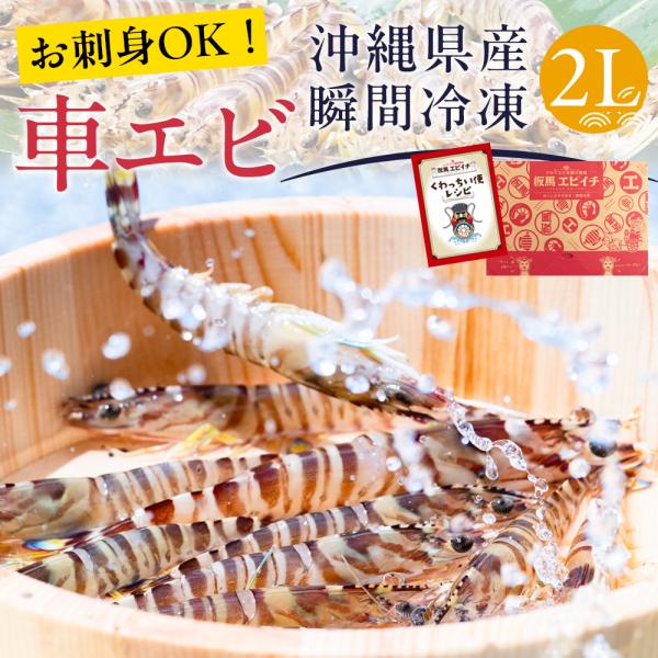 沖縄県南城市産 瞬間冷凍車エビ1kg（19〜29尾入） 2Lサイズ 生食可 板馬エビイチ 生産者直送 車海老 ギフト プレゼント 刺身 しゃぶしゃぶ 送料無料
