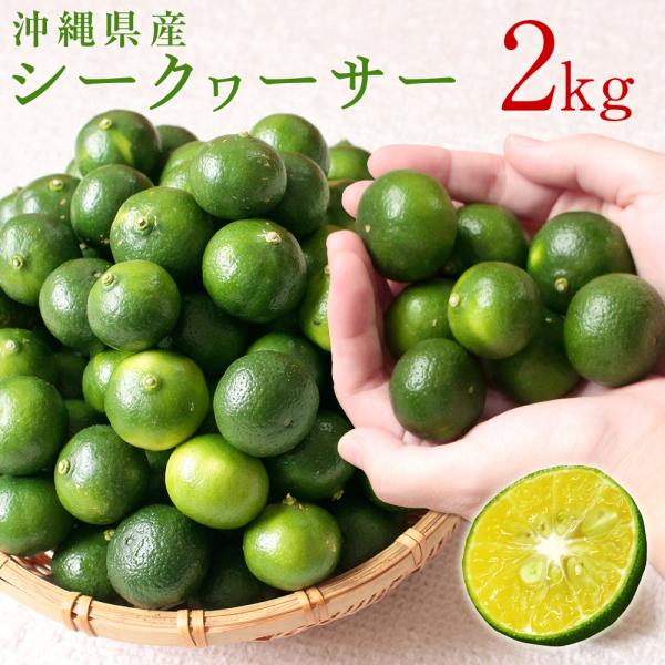シークヮーサー青果 約2kg 沖縄県産 生産者直送 シークワーサー シークアーサー 青切り 果実 送料無料