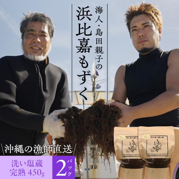 沖縄県浜比嘉島から直送 海人 島田親子の浜比嘉もずく（完熟）450g×2パック入り 洗い塩蔵もずく 塩分濃度10% 洗わずそのまま使える ネコポス 送料無料