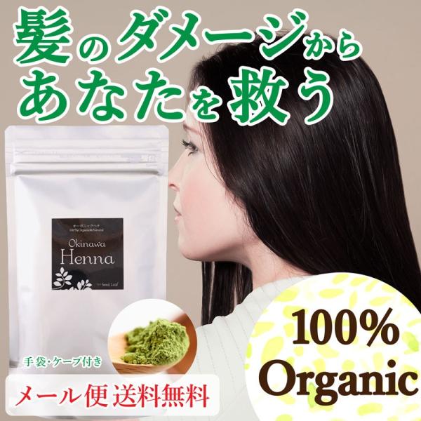 ヘナ オーガニック沖縄ヘナ オーガニック ナチュラル 無農薬 安心 安全 サロンドレイ 白髪染め トリートメント 天然 美容 毛染め ヘアカラー Henna 送料無料 Buyee Buyee Japanese Proxy Service Buy From Japan Bot Online