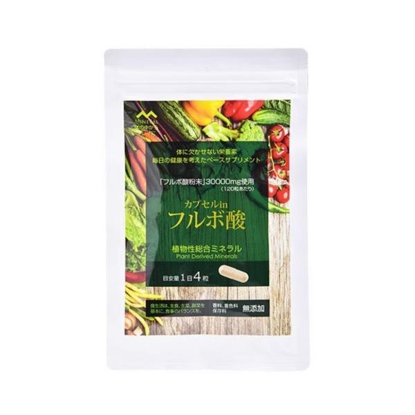 カプセルinフルボ酸 120粒 ライフバランス ミネラル フルボ酸 サプリ 食品 カプセル in フルボ酸 メール便配送可