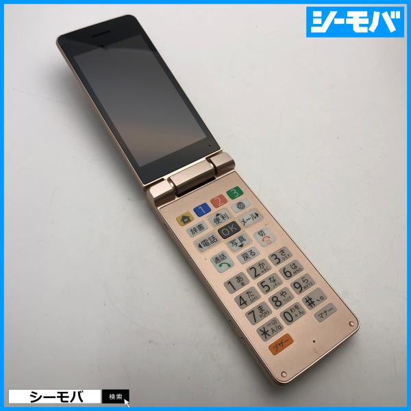 SoftBank かんたん携帯10 807SH seegrammobile_e063