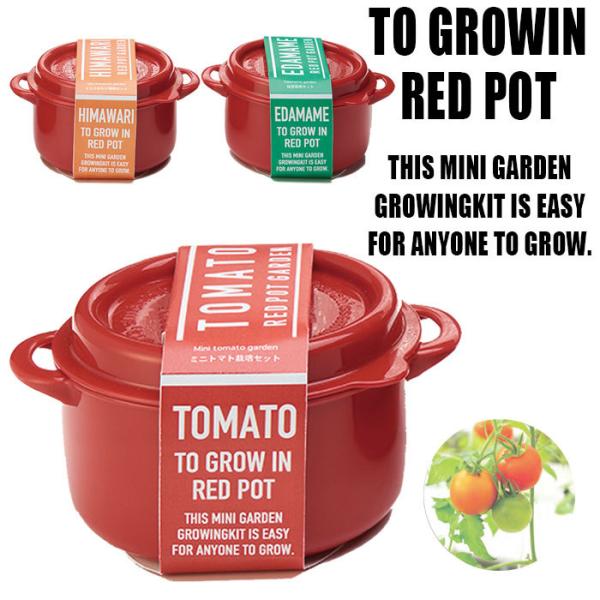 ͔|Zbg v[g ؍͔| 琬 ͔|Lbg RED POT GARDEN CG -101 Ă   g}g ԕc ƒ؉ x_