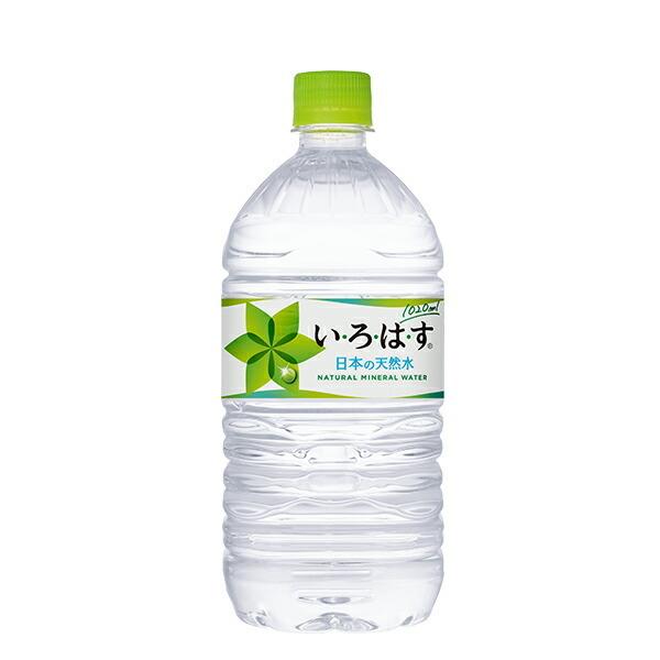 EÉE 1020ml PET×12{×2P[X /RJR[/Coca-Cola/^e/~lEH[^[/ ()