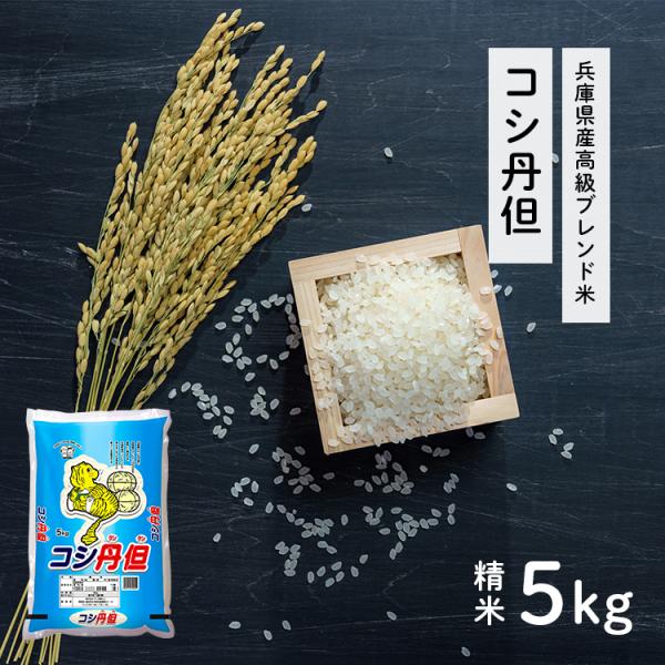 新米！】令和4年精米人オリジナル商品 コシ丹但（こしたんたん）兵庫県