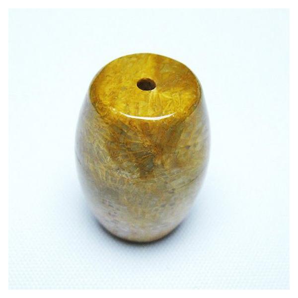 フォッシルコーラル 天珠 化石珊瑚 t155-2277 : 誠安天然石専門店