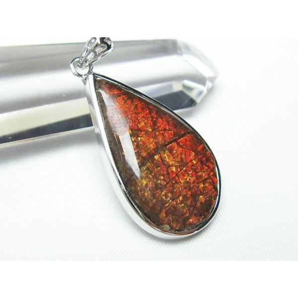 アンモライトの通販 価格比較 価格 Com