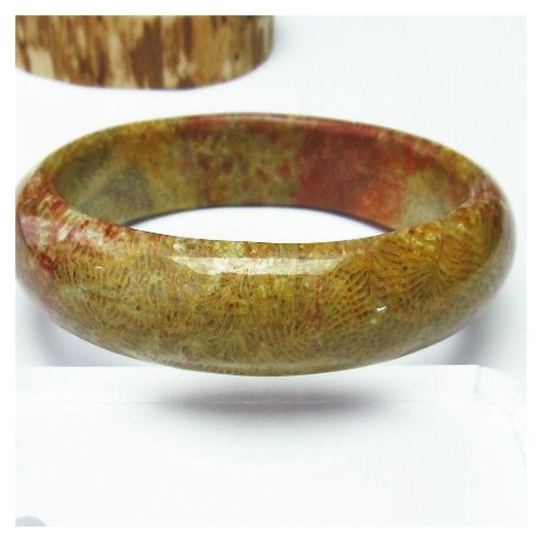 フォッシルコーラル バングル 化石珊瑚60mm t23-2314 : 誠安天然石専門