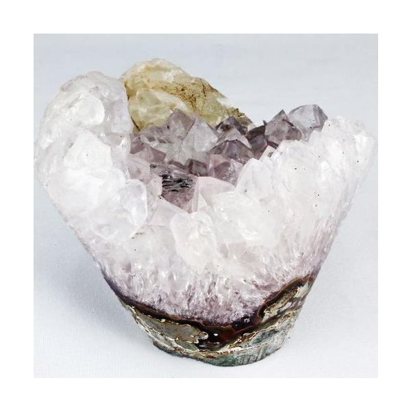 フローラルアメジスト seian_t466-1786