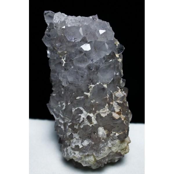 t[AWXgNX^[ p[Xg[ VR t472-2025