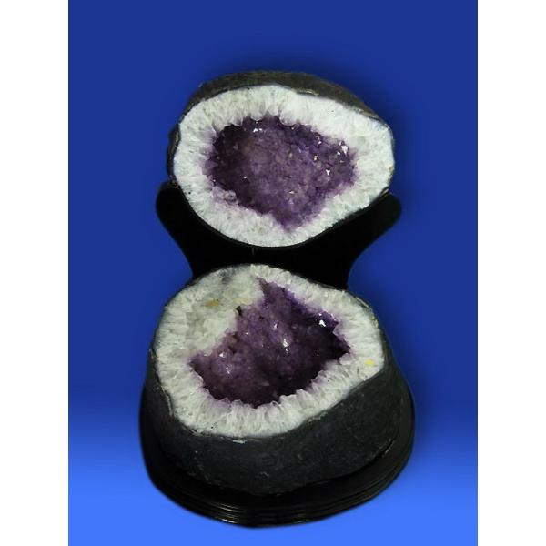 55.2Kg yAgW[AWXgs i t631-17