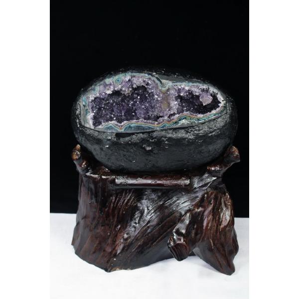 \i 3̔\ty4.9Kg EOACY  T[NWI[h AWXgh[ p[Xg[ VR t659-1181