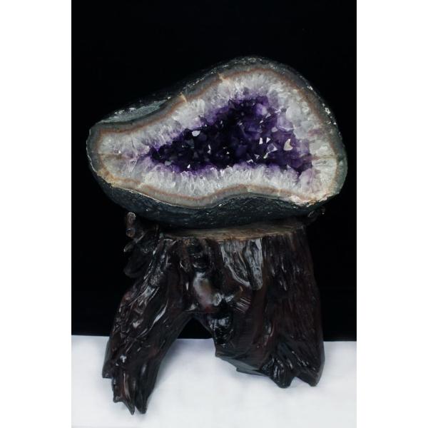 \i 3̔\ty27Kg EOACY  T[NWI[h AWXgh[s p[Xg[ VR t659-1189