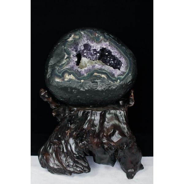 \i 3̔\ty18.6Kg EOACY  T[NWI[h AWXgh[s p[Xg[ VR t659-1190