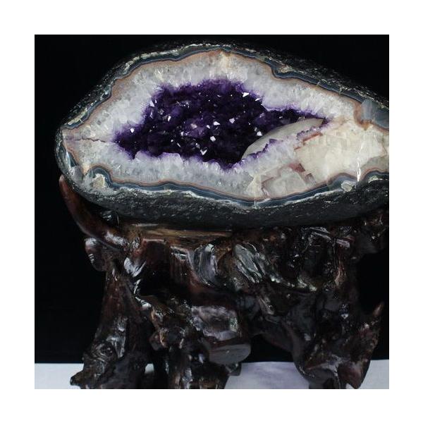 \i 3̔\ty17.9Kg EOACY  T[NWI[h AWXgh[ p[Xg[ VR t659-1191