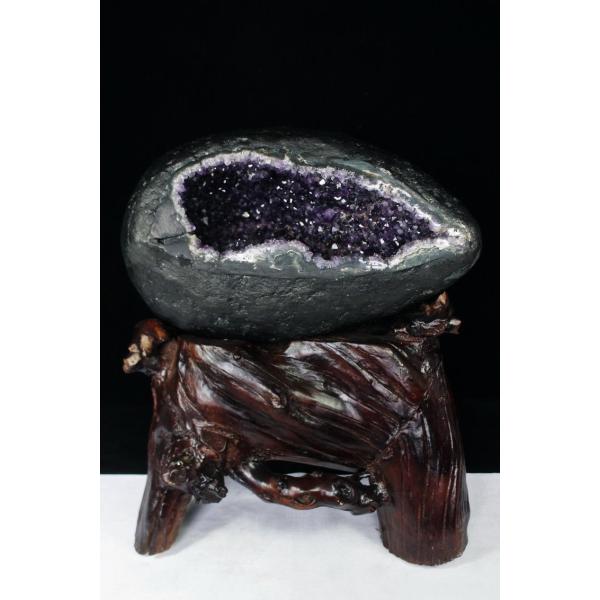 \i 3̔\ty11.8Kg EOACY  T[NWI[h AWXgh[ p[Xg[ VR t659-1192