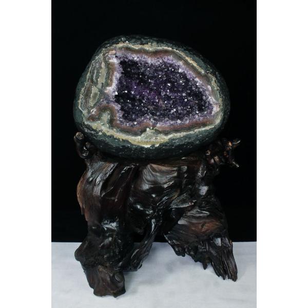 \i 3̔\ty17.3Kg EOACY  T[NWI[h AWXgh[s p[Xg[ VR t659-1193