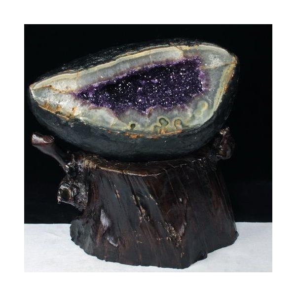 \i 3̔\ty7.3Kg EOACY  T[NWI[h AWXgh[ p[Xg[ VR t659-1208