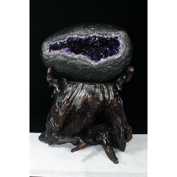 \i 3̔\ty17.8Kg EOACY  T[NWI[h AWXgh[s p[Xg[ VR t659-1216