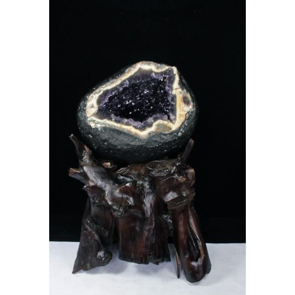 \i 3̔\ty13.2Kg EOACY  T[NWI[h AWXgh[s p[Xg[ VR t659-1219