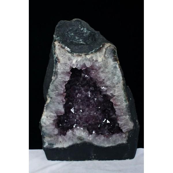 \i 3̔\ty47.2Kg uWY AWXgh[ s(i) p[Xg[ VR t659-1237