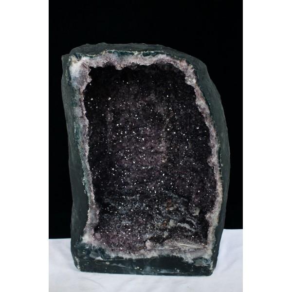 \i 3̔\ty83.5Kg uWY AWXgh[ (i) s p[Xg[ VR t659-1244