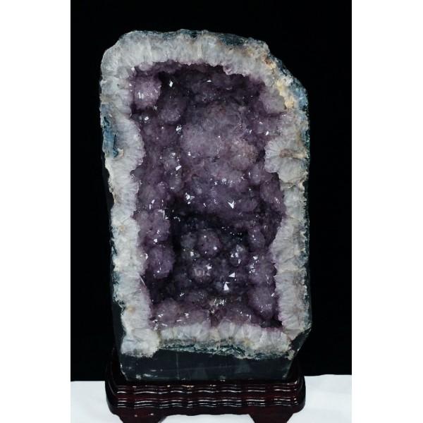 \i 3̔\ty62.4Kg uWY  AWXgh[ (i) s p[Xg[ VR t659-1266