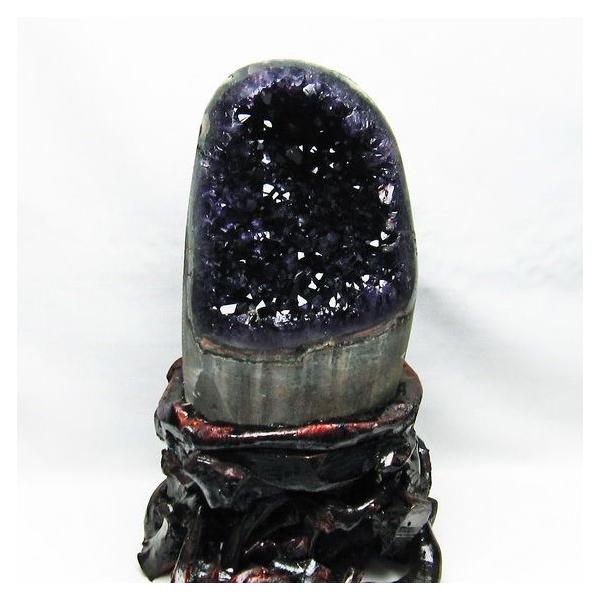 S\i:\i 3̔\ty2.7Kg EOACY AWXgNX^[ t659-1668