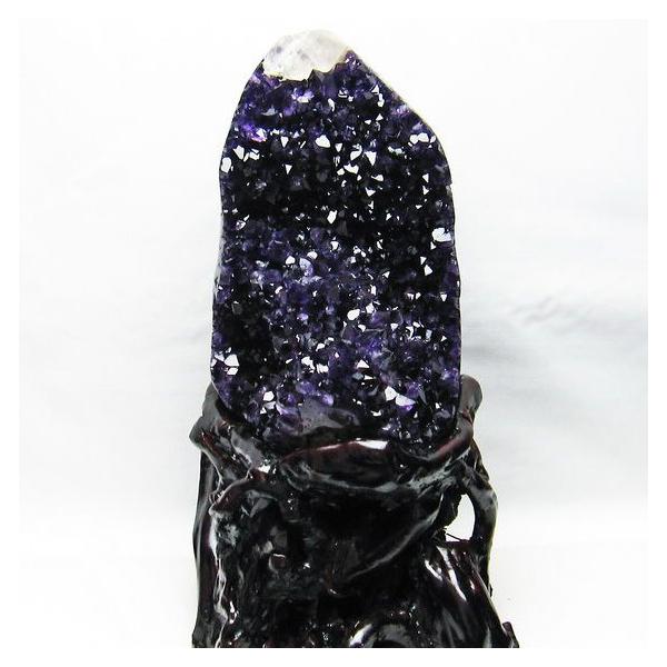 S\i:\i 3̔\ty3.9Kg EOACY  JTCg t[AWXgNX^[ t659-1695