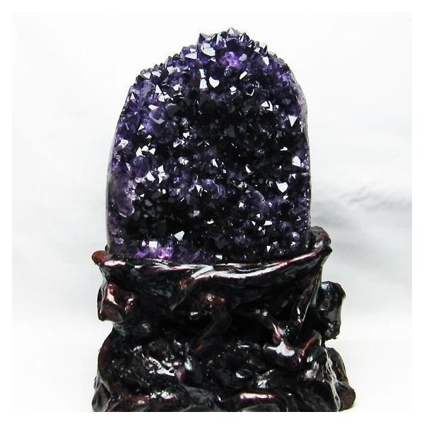 S\i:\i 3̔\ty5.5Kg EOACY  t[AWXgNX^[ t659-1696