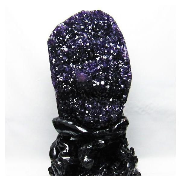 S\i:\i 3̔\ty7Kg EOACY  t[AWXgNX^[ t659-1697